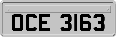 OCE3163