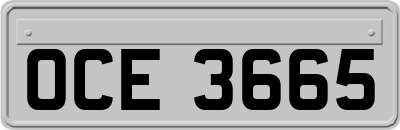 OCE3665