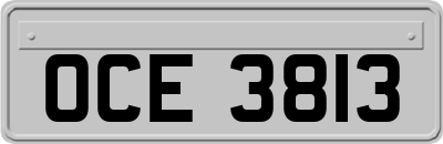 OCE3813
