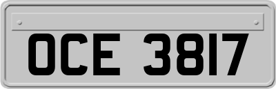 OCE3817