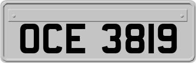 OCE3819
