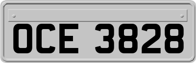OCE3828