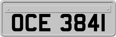 OCE3841