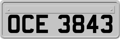 OCE3843