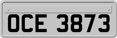 OCE3873