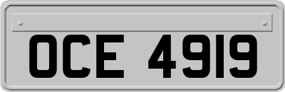 OCE4919
