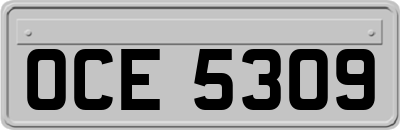 OCE5309