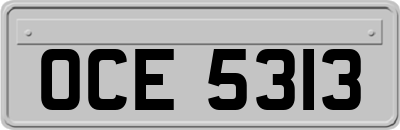 OCE5313