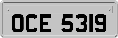 OCE5319