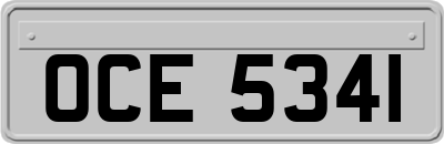 OCE5341