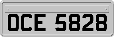 OCE5828
