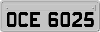 OCE6025