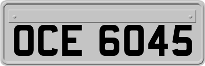 OCE6045