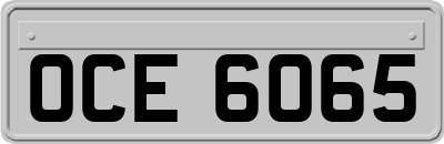 OCE6065