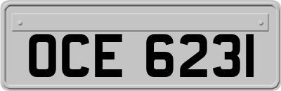OCE6231