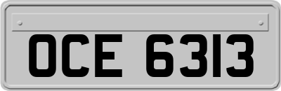 OCE6313