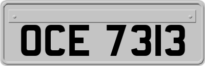 OCE7313