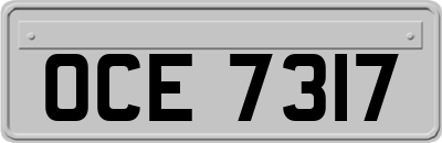 OCE7317