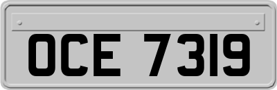 OCE7319