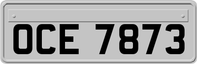 OCE7873