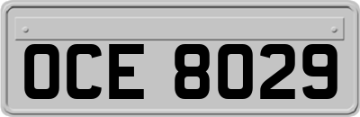 OCE8029