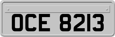 OCE8213