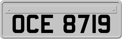 OCE8719