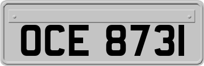 OCE8731