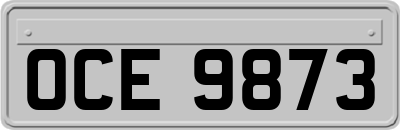 OCE9873