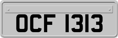 OCF1313