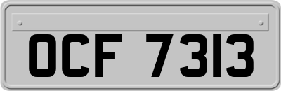 OCF7313