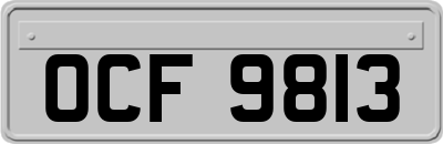 OCF9813