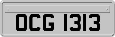 OCG1313
