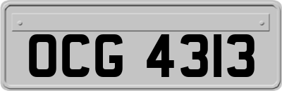 OCG4313
