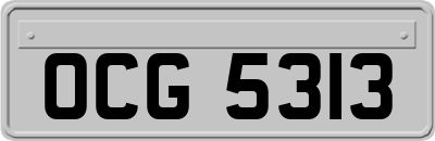 OCG5313
