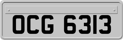 OCG6313