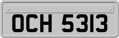 OCH5313