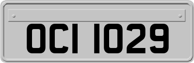 OCI1029