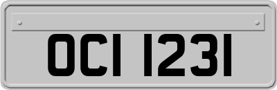 OCI1231