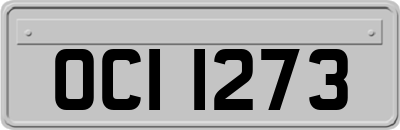 OCI1273