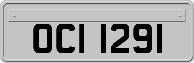 OCI1291