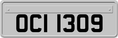 OCI1309