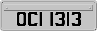 OCI1313