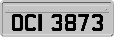 OCI3873