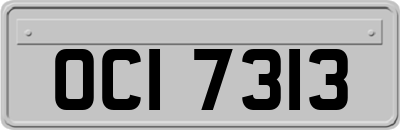 OCI7313