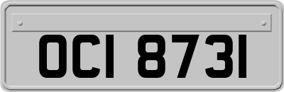 OCI8731