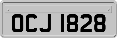 OCJ1828