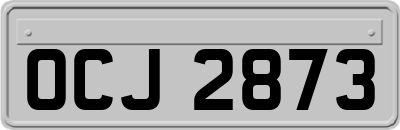 OCJ2873