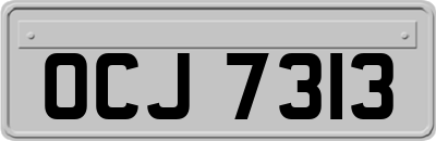 OCJ7313