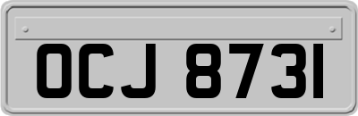 OCJ8731